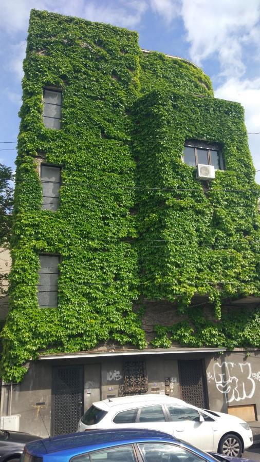 Central Green House Букурещ Екстериор снимка